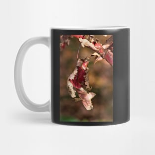 Maple Lace Mug